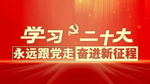 党的二十大湖北代表团谈把握五项重大 原则，科技创新驱动发展